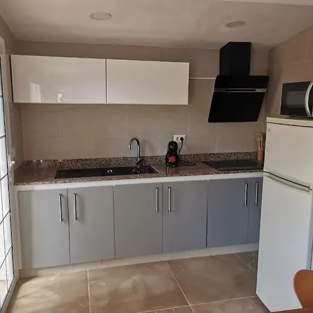 Cactus * サンタクルスデテネリフェ