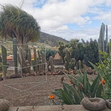 Cactus アパート サンタクルスデテネリフェ