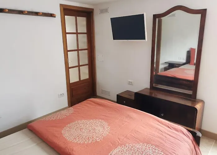 Cactus Santa-Cruz de Ténérife