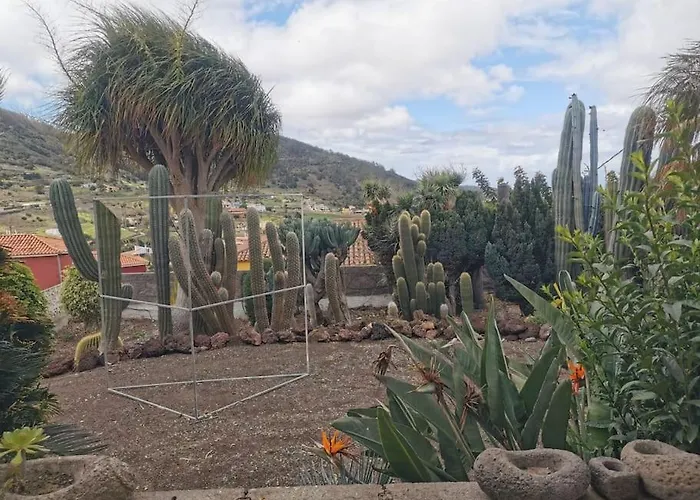 Cactus Appartement Santa-Cruz de Ténérife