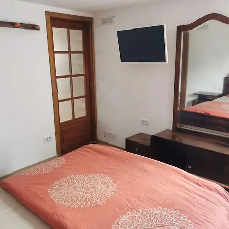 Cactus Santa Cruz de Tenerife