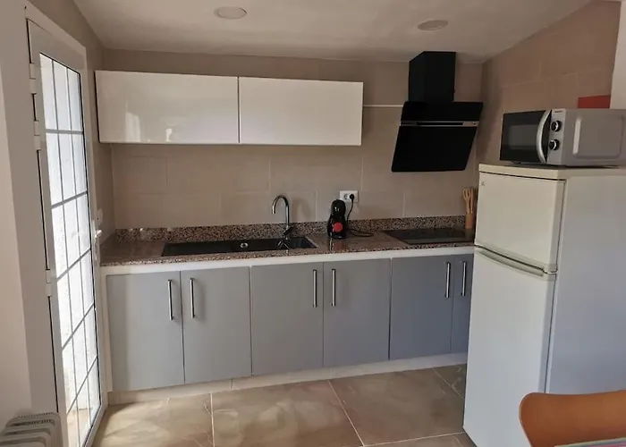 Cactus * Santa Cruz de Tenerife